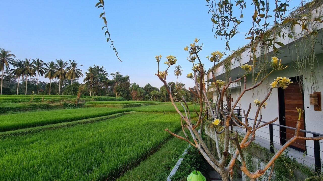 Отель Ayurvedagram Bali Убуд Экстерьер фото