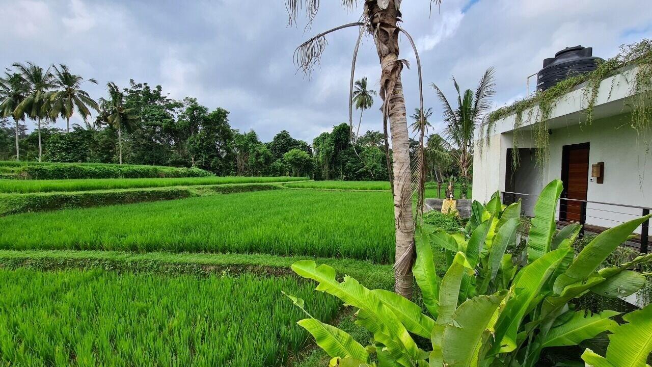 Отель Ayurvedagram Bali Убуд Экстерьер фото