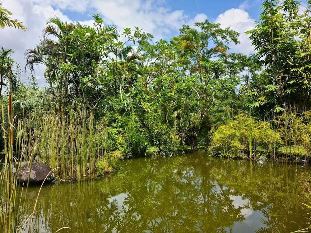 Отель Ayurvedagram Bali Убуд Экстерьер фото